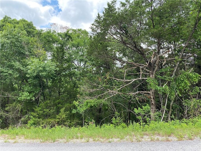 35 Sunrise Ave Unit Unit4-1-3, Holiday Island, AR 72631