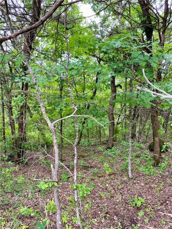 35 Sunrise Ave Unit Unit4-1-3, Holiday Island, AR 72631