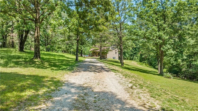 482 County Road 332, Eureka Springs, AR 72632 - view of dirt / gravel road