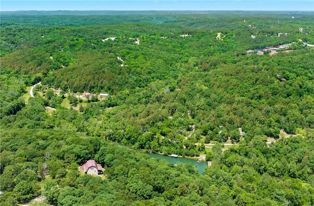 482 County Road 332, Eureka Springs, AR 72632 - aerial view of property's location featuring a forest and a large body of water