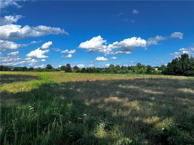 000 Pine Ridge Rd, Pottsville, AR 72858 - photo 3