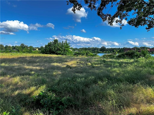 000 Pine Ridge Rd, Pottsville, AR 72858 - photo 6