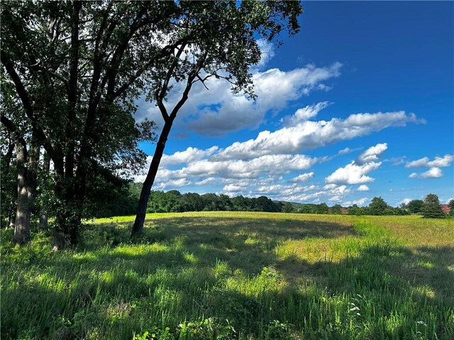 000 Pine Ridge Rd, Pottsville, AR 72858 - photo 14
