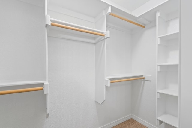 12305 Tyson Rd, Lowell, AR 72745 - view of walk in closet