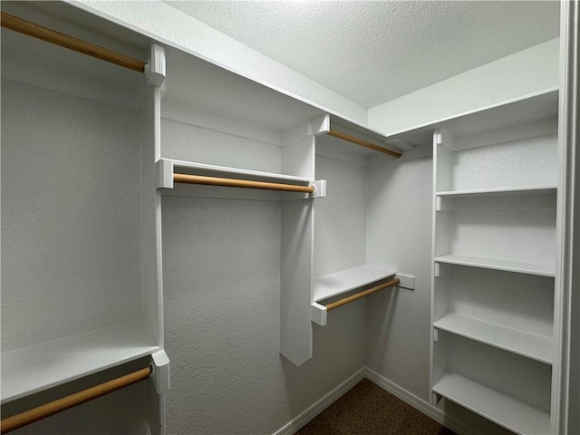 12305 Tyson Rd, Lowell, AR 72745 - spacious closet featuring dark carpet