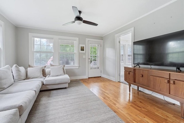 626 Ash St, Fayetteville, AR 72703 - living room with light wood-style flooring, a ceiling fan, ornamental molding, and baseboards