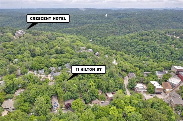 11 Hilton St, Eureka Springs, AR 72632 - drone / aerial view of a forest