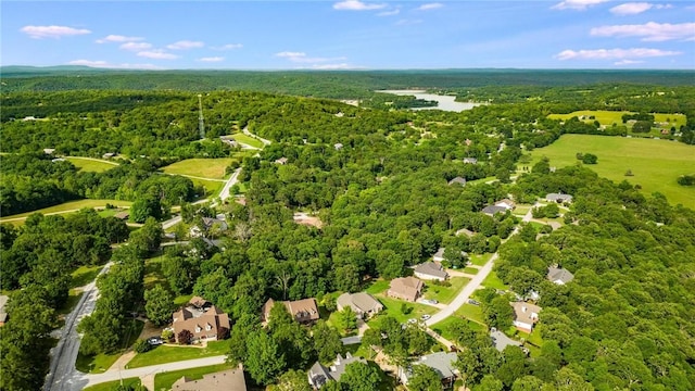 14864 Park Ridge Dr, Lowell, AR 72745 - photo 45