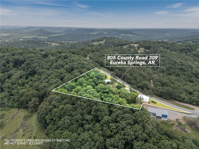 805 County Road 309, Eureka Springs, AR 72632 - photo 30