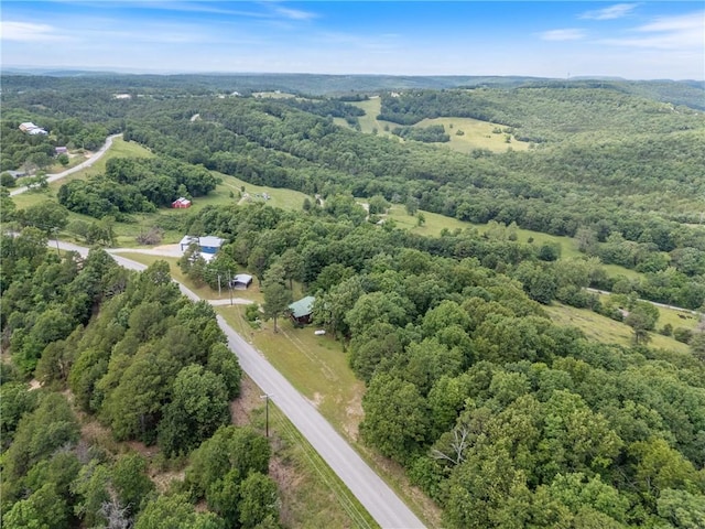 805 County Road 309, Eureka Springs, AR 72632 - photo 28
