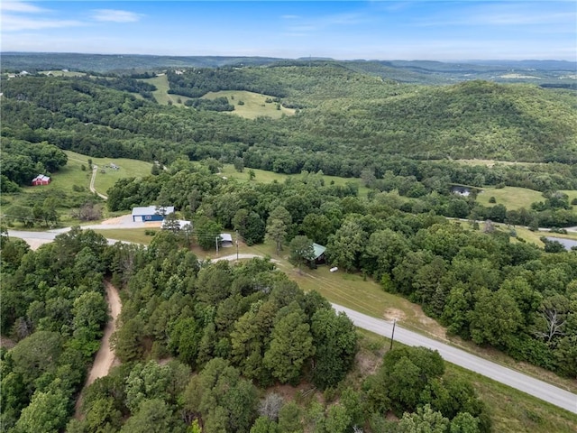 805 County Road 309, Eureka Springs, AR 72632 - photo 1