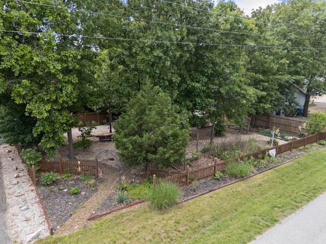 4 Torrido Ln, Bella Vista, AR 72715 - view of yard