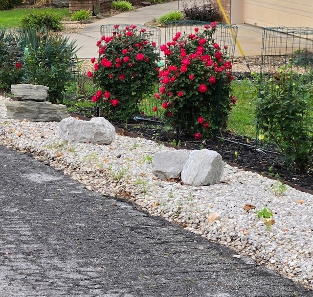 4 Torrido Ln, Bella Vista, AR 72715 - view of yard