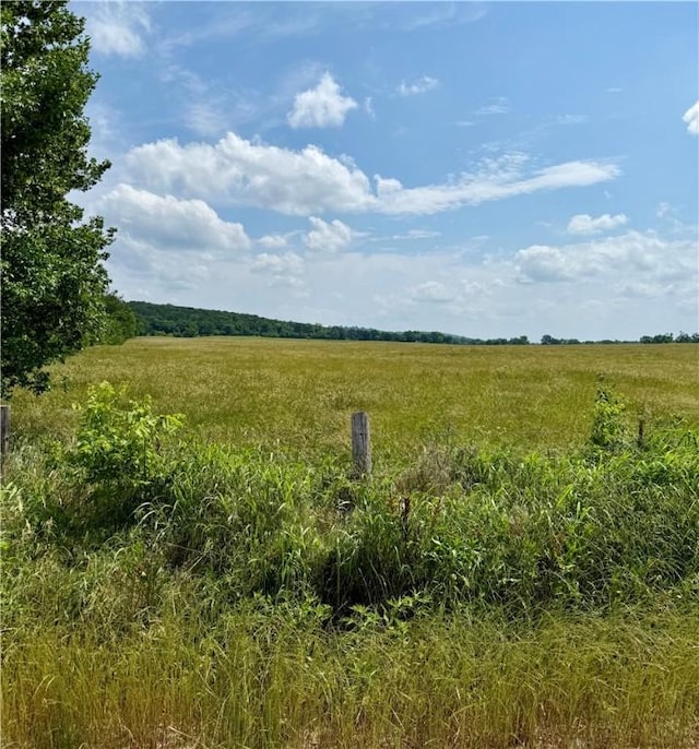 11601 Wolf Track Rd, Summers, AR 72769 - photo 3