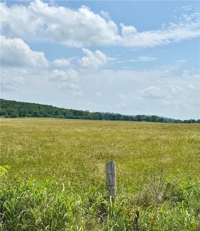 11601 Wolf Track Rd, Summers, AR 72769 - photo 4