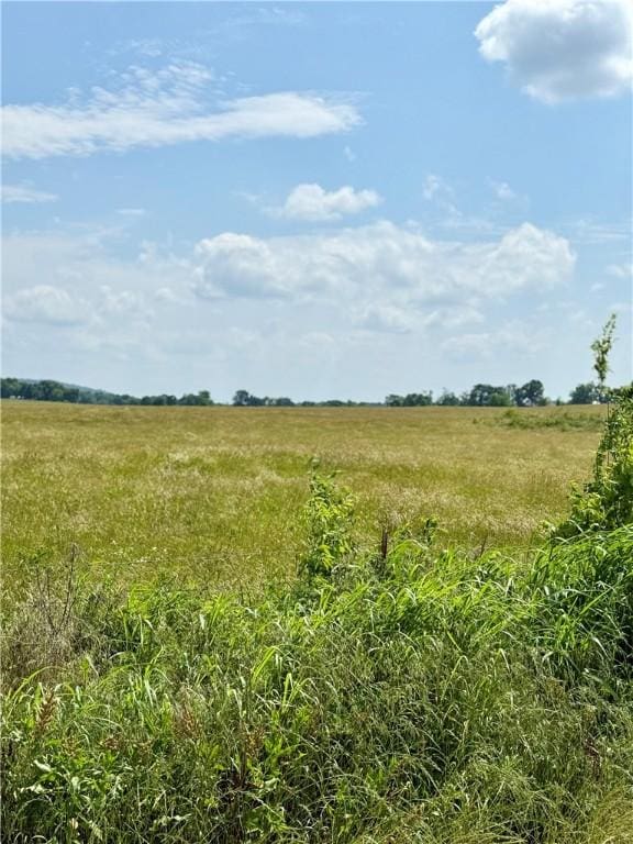 11601 Wolf Track Rd, Summers, AR 72769 - photo 5