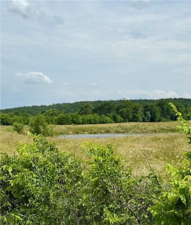 11601 Wolf Track Rd, Summers, AR 72769 - photo 6