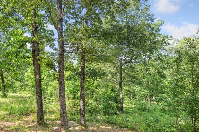 305 Spirit Dr, Saint Joe, AR 72675 - photo 21
