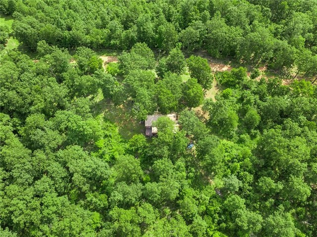 305 Spirit Dr, Saint Joe, AR 72675 - photo 22