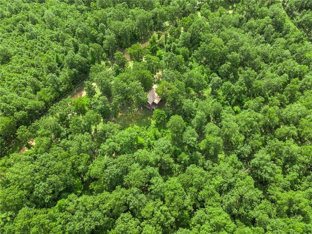 305 Spirit Dr, Saint Joe, AR 72675 - photo 23