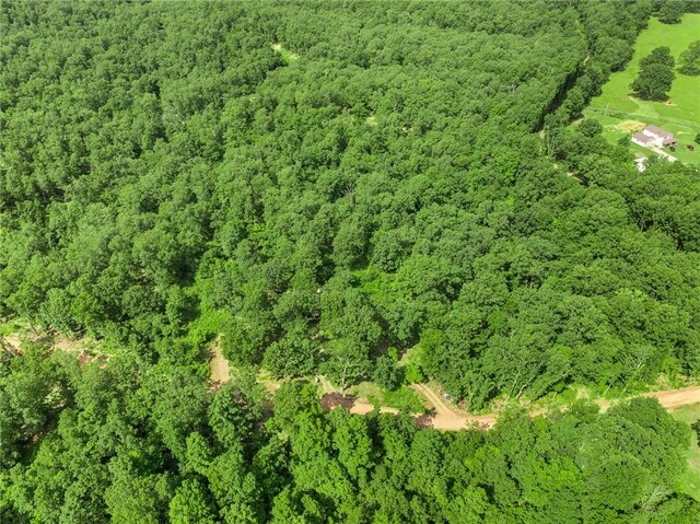 305 Spirit Dr, Saint Joe, AR 72675 - photo 24
