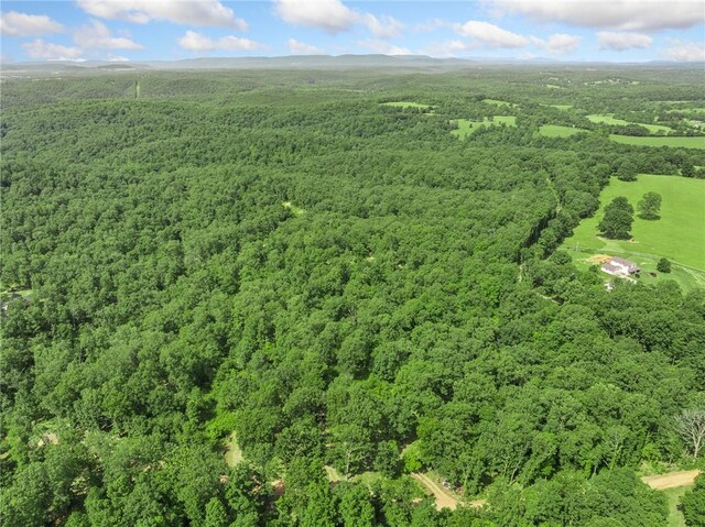 305 Spirit Dr, Saint Joe, AR 72675 - photo 25