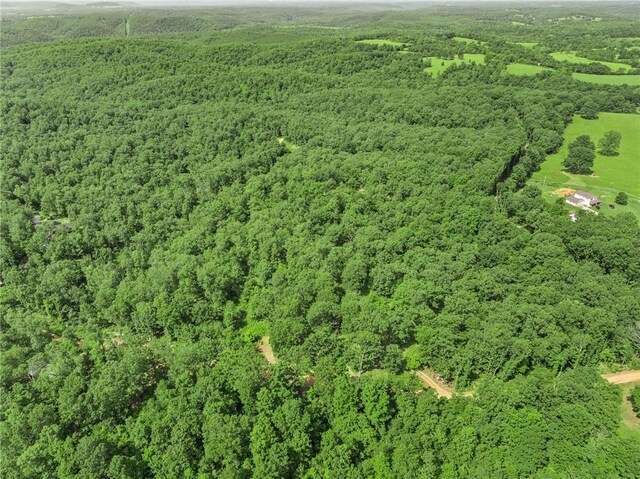 305 Spirit Dr, Saint Joe, AR 72675 - photo 29