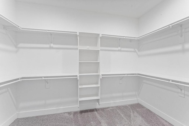 901 Carlock Dr, Pea Ridge, AR 72751 - walk in closet featuring carpet