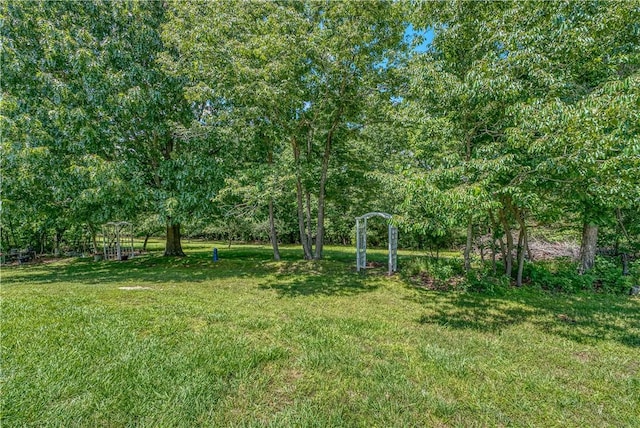 4568 Cottonwood Rd, Harrison, AR 72601 - photo 35