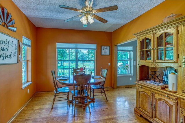 4568 Cottonwood Rd, Harrison, AR 72601 - photo 19