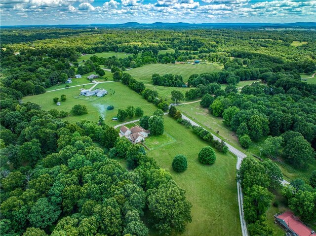 4568 Cottonwood Rd, Harrison, AR 72601 - photo 42