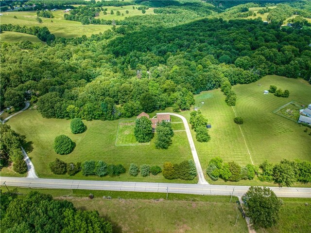 4568 Cottonwood Rd, Harrison, AR 72601 - photo 46