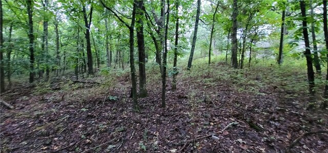 156 Pinehaven Dr, Winslow, AR 72959 - photo 4