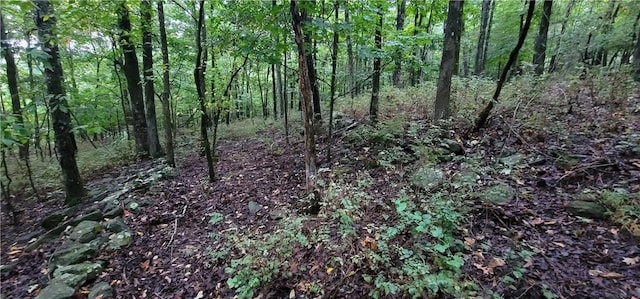 156 Pinehaven Dr, Winslow, AR 72959 - photo 5