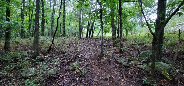 156 Pinehaven Dr, Winslow, AR 72959 - photo 6