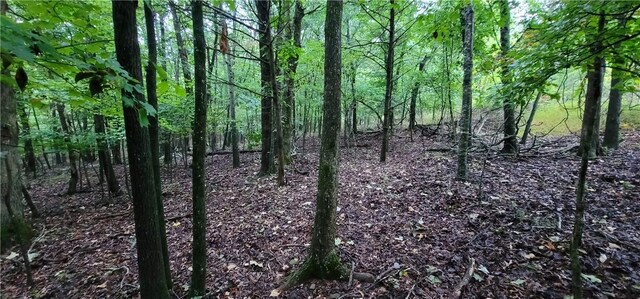 156 Pinehaven Dr, Winslow, AR 72959 - photo 9