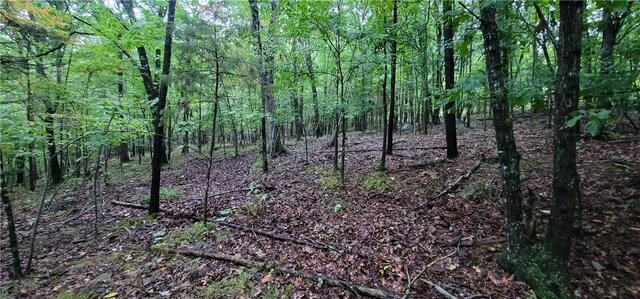 156 Pinehaven Dr, Winslow, AR 72959 - photo 12