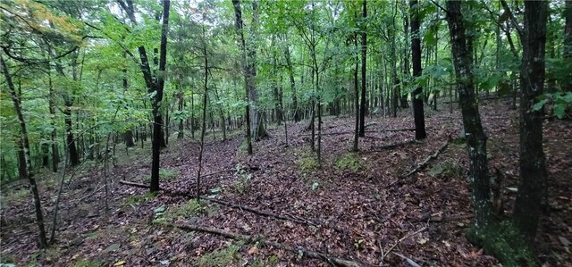 156 Pinehaven Dr, Winslow, AR 72959 - photo 13