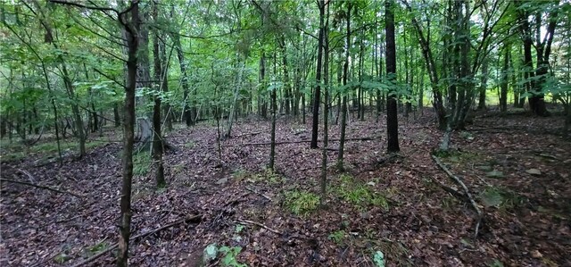 156 Pinehaven Dr, Winslow, AR 72959 - photo 14