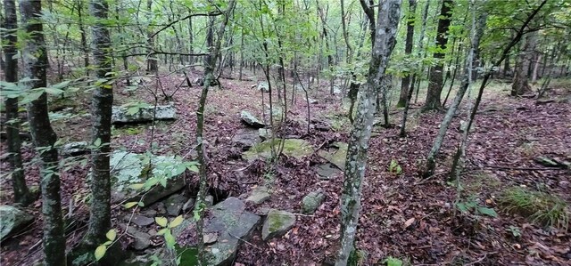 156 Pinehaven Dr, Winslow, AR 72959 - photo 18