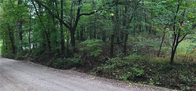 156 Pinehaven Dr, Winslow, AR 72959 - photo 24