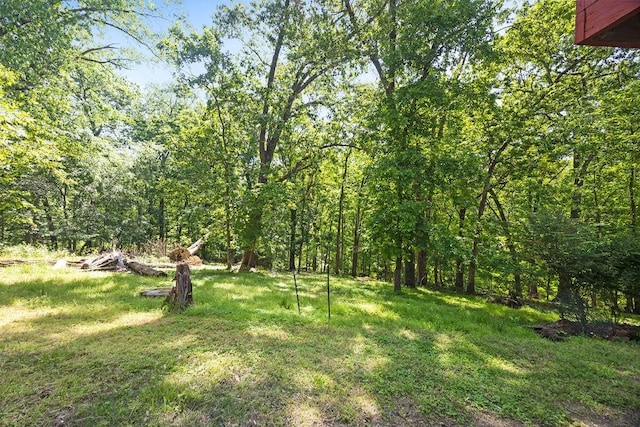8578 Wild Cherry Dr, Rogers, AR 72756 - photo 26