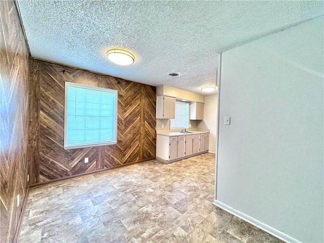 29 5th Ave, Dardanelle, AR 72834 - kitchen with wooden walls, light countertops, white cabinets, a sink, and baseboards