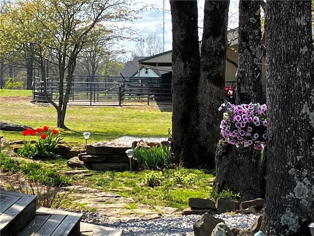 14620 Ravenwood Ln, Garfield, AR 72732 - view of yard