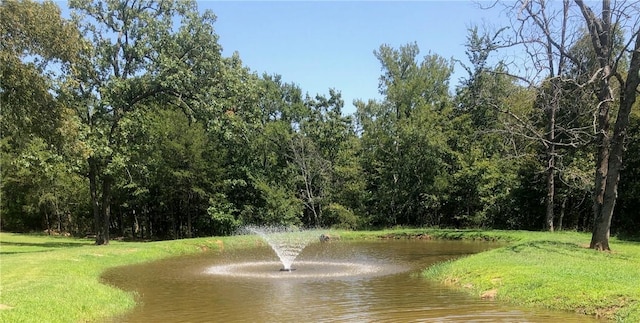 14620 Ravenwood Ln, Garfield, AR 72732 - water view