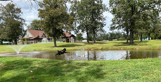 14620 Ravenwood Ln, Garfield, AR 72732 - water view