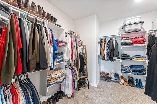 1904 Bergman Rd, Pea Ridge, AR 72751 - walk in closet featuring carpet