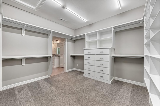 2707 W Lilac St, Rogers, AR 72758 - walk in closet featuring carpet flooring