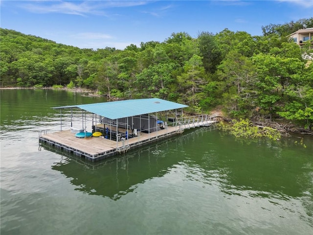 10393 Cedar Rock Rd, Garfield, AR 72732 - dock area featuring a view of trees and a water view