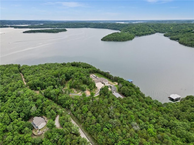 10393 Cedar Rock Rd, Garfield, AR 72732 - drone / aerial view of a large body of water and a forest